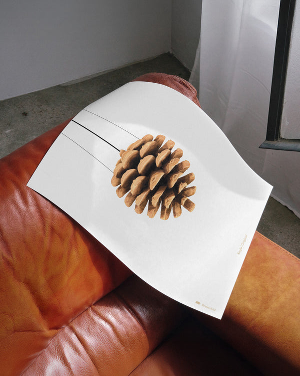 Brainchild – Plakat – Klassisk – Hvid – Kogle