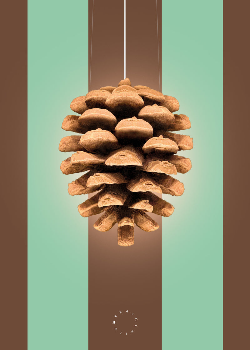 Brainchild – Plakat – Modern Edition – Kogle