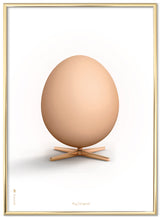 Brainchild – Plakat – Klassisk – Hvid – Æg