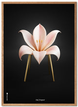 Brainchild – Plakat – Klassisk – Sort – Lilje