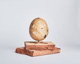 Brainchild, Ægget, Kunstner